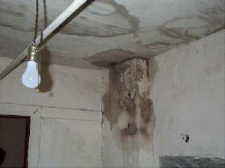 Poorly maintained and unhealthy housing are common problems – with mould, poor ventilation, bedbugs and pest problems reported in the study.