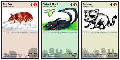 cardsterry